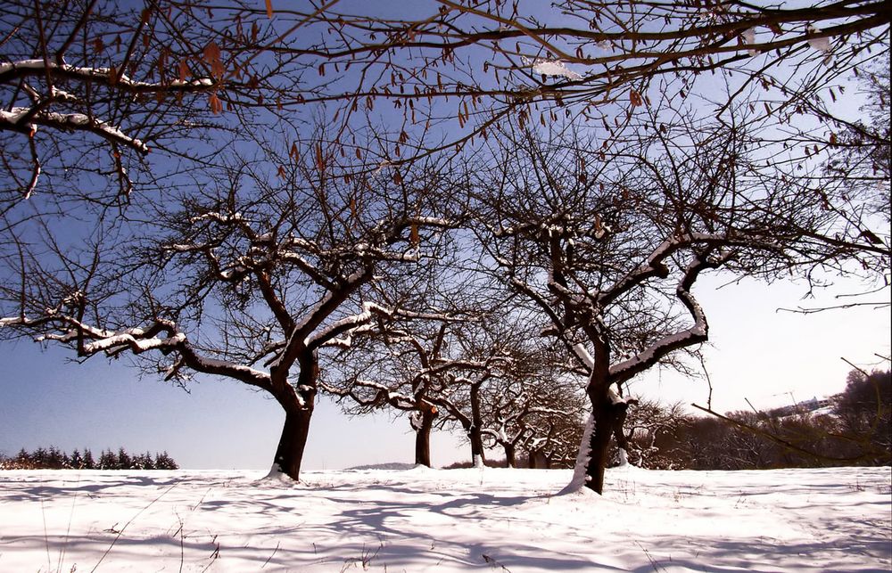 Winter in Merzig - Hilbringen ....