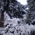 Winter in Mettmann 2011