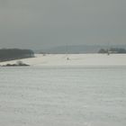 Winter in Mittel-Gründau 12/2010