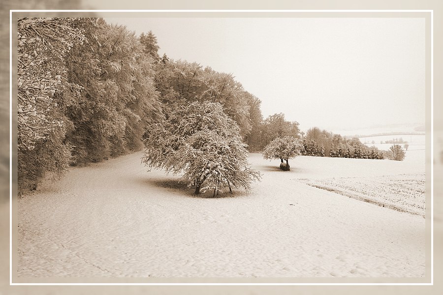 Winter in Mittelfranken