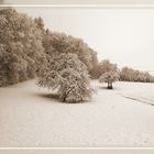 Winter in Mittelfranken