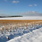 Winter in Mittelfranken