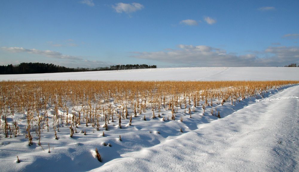 Winter in Mittelfranken von  Erhard Schreiber