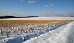 Winter in Mittelfranken