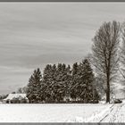 Winter in Mooskirchen