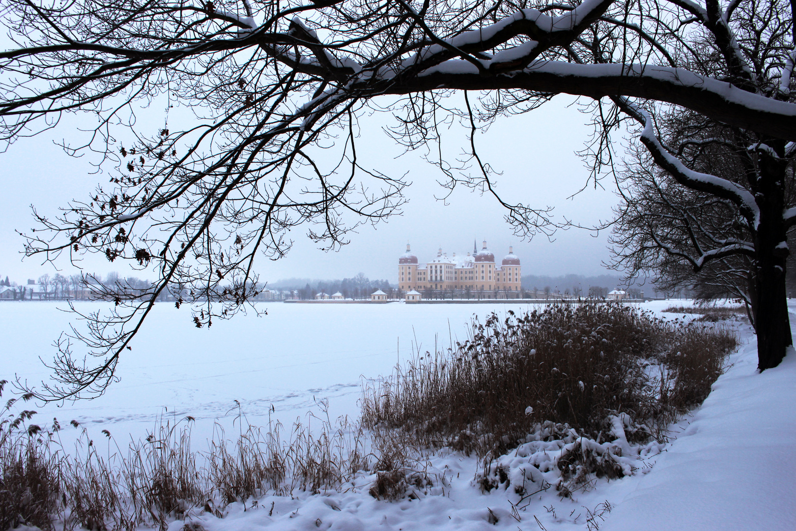 Winter in Moritzburg