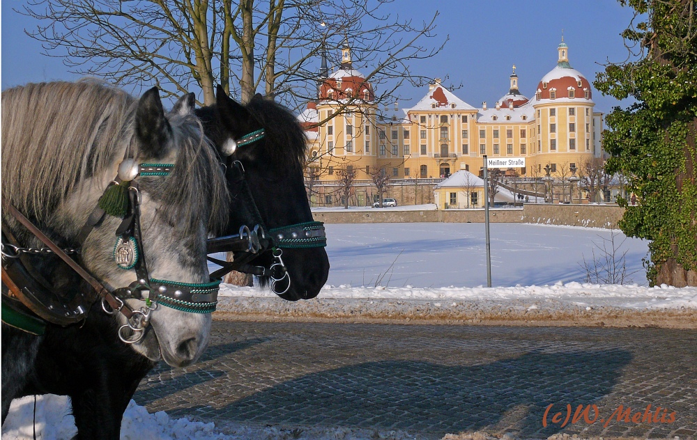 Winter in Moritzburg
