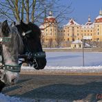 Winter in Moritzburg