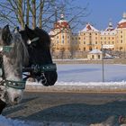 Winter in Moritzburg