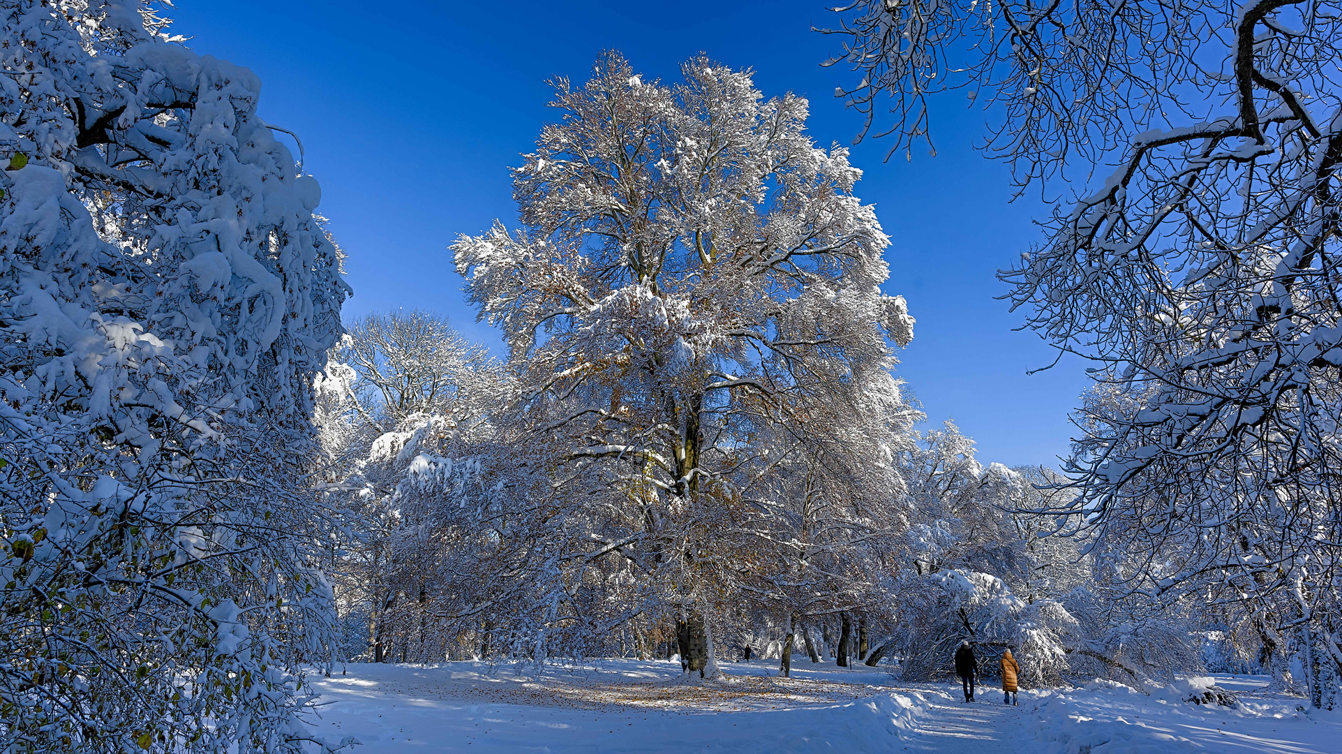 Winter in München