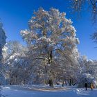 Winter in München