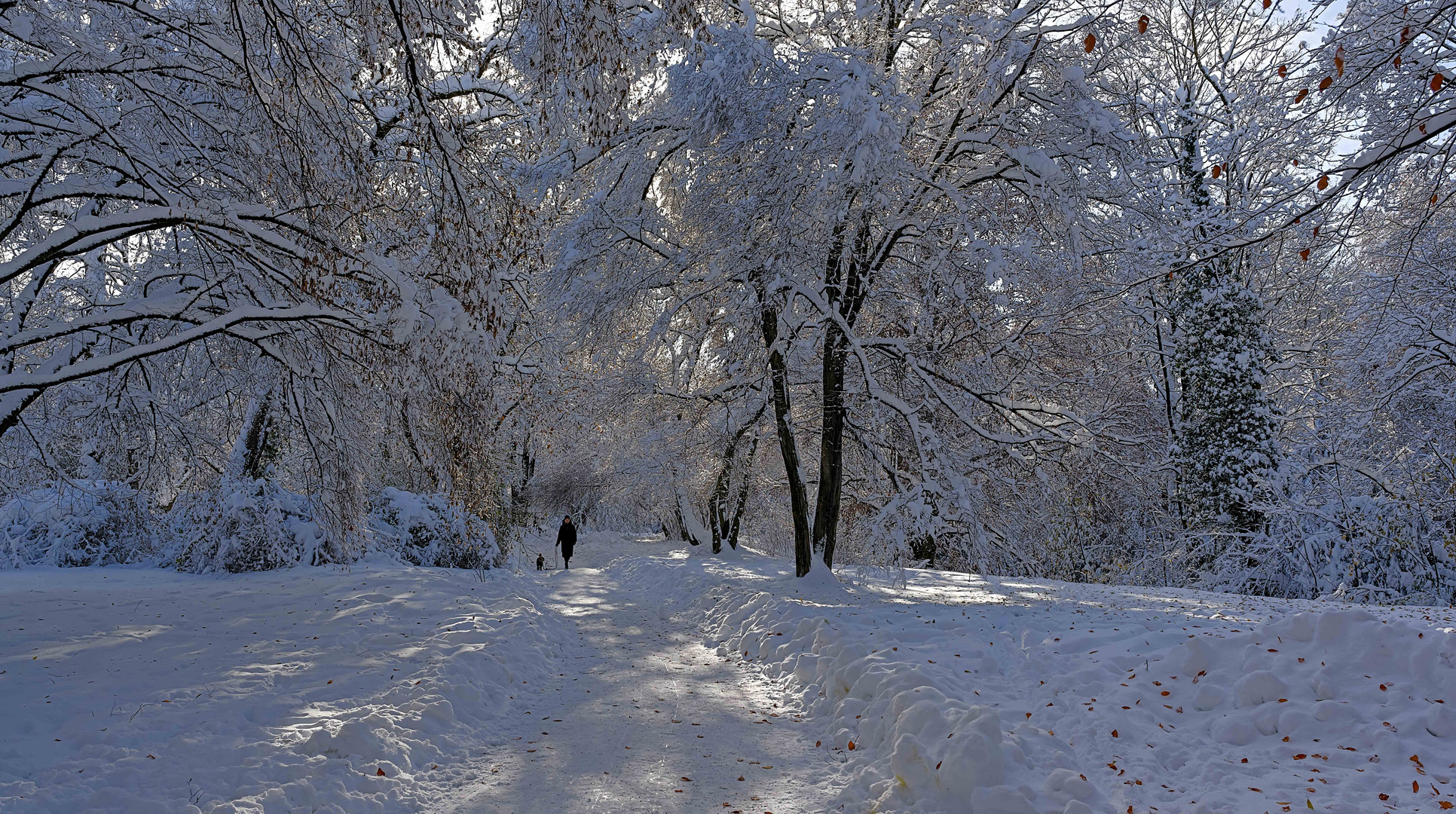 Winter in München