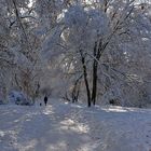 Winter in München