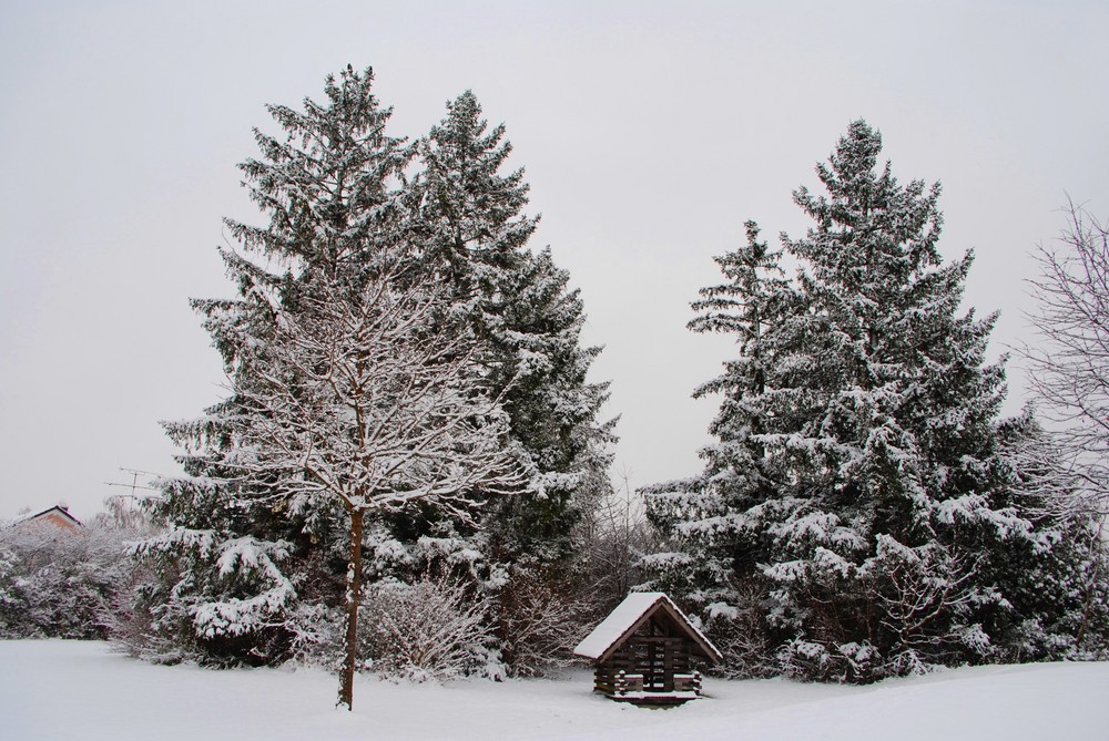 Winter in München