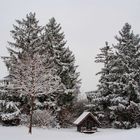 Winter in München