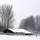 Winter in MV 6