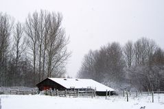 Winter in MV 6