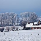 Winter in M/V