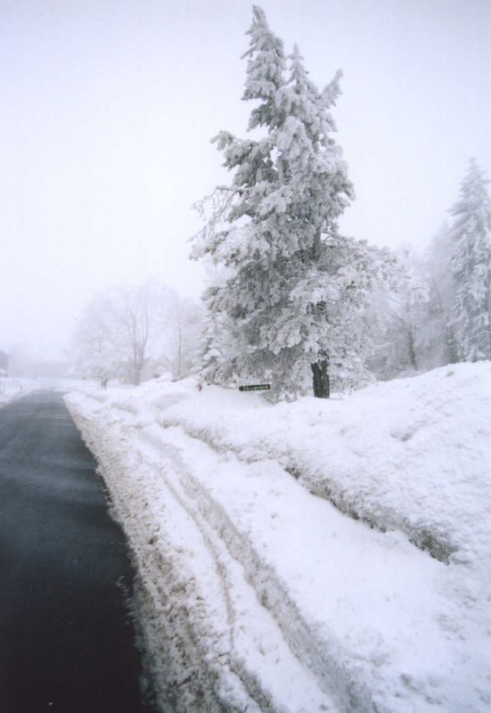 Winter in Neustadt R. (153-26)