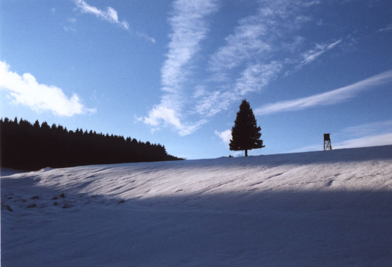 Winter in Neustadt/R.