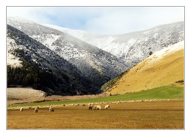 Winter in New Zealand II