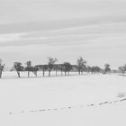 Winter in Niederösterreich