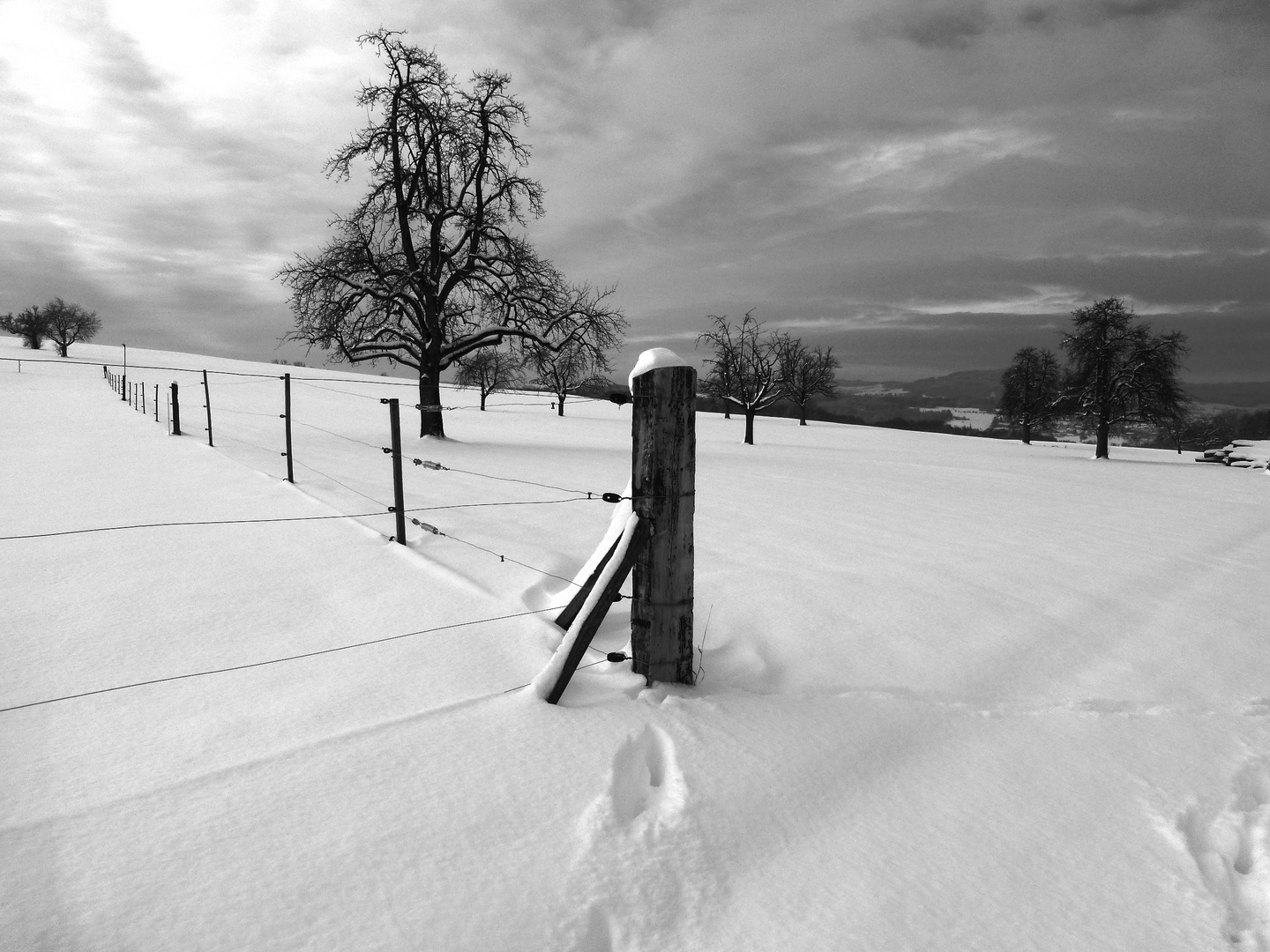 Winter in Niederschongau