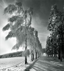 Winter in NÖ-- 2