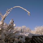 Winter in Norddeutschland