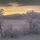 Winter in Nordfinnland