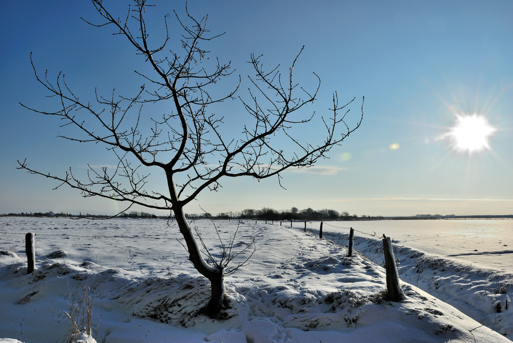 Winter in Nordfriesland