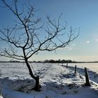Winter in Nordfriesland