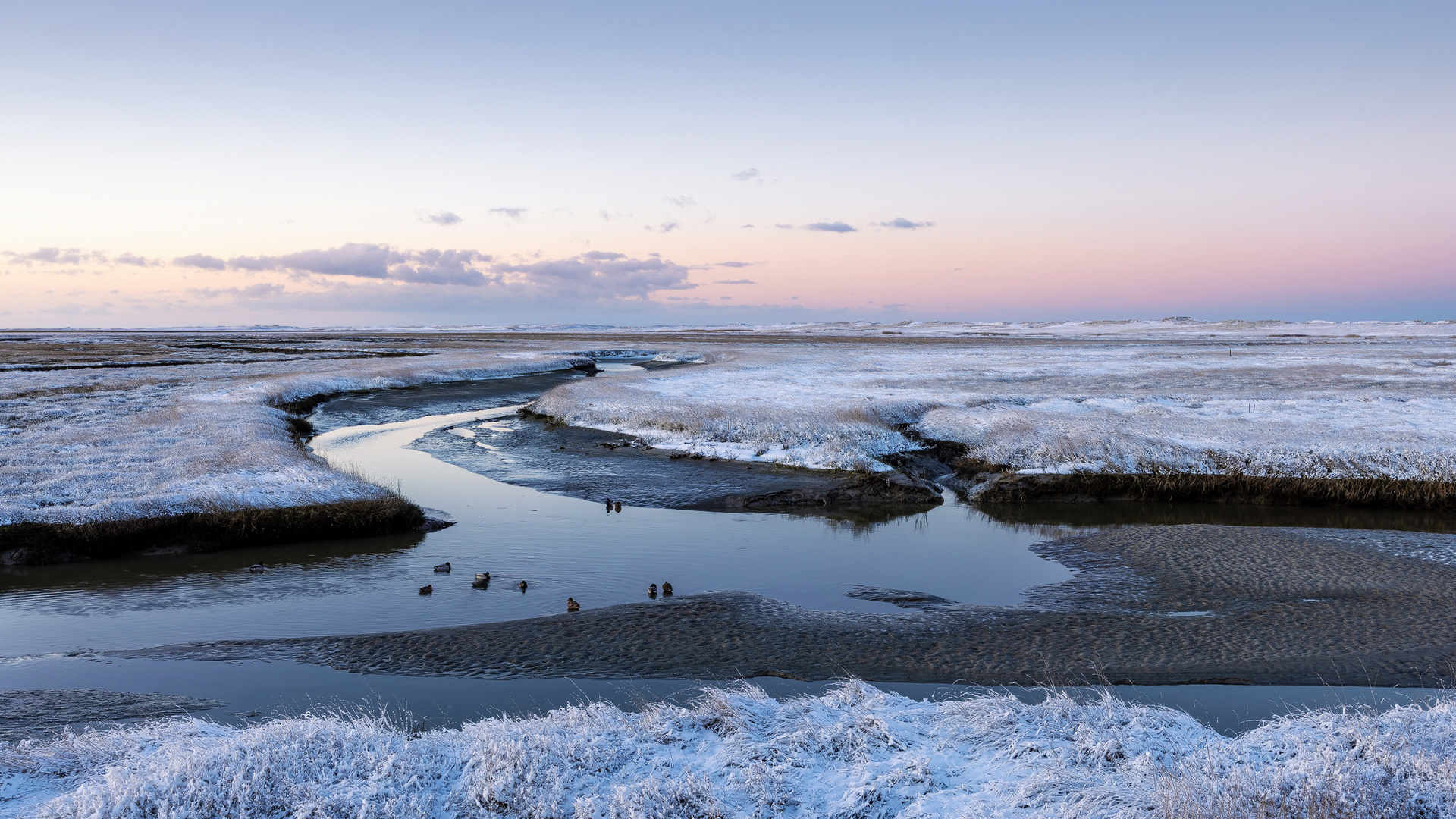 ...Winter in Nordfriesland...