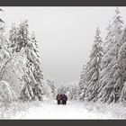 Winter in Nordhessen