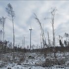 Winter in Nordhessen