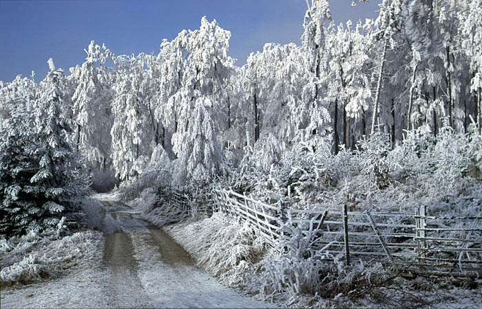 winter in nordhessen