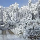 winter in nordhessen