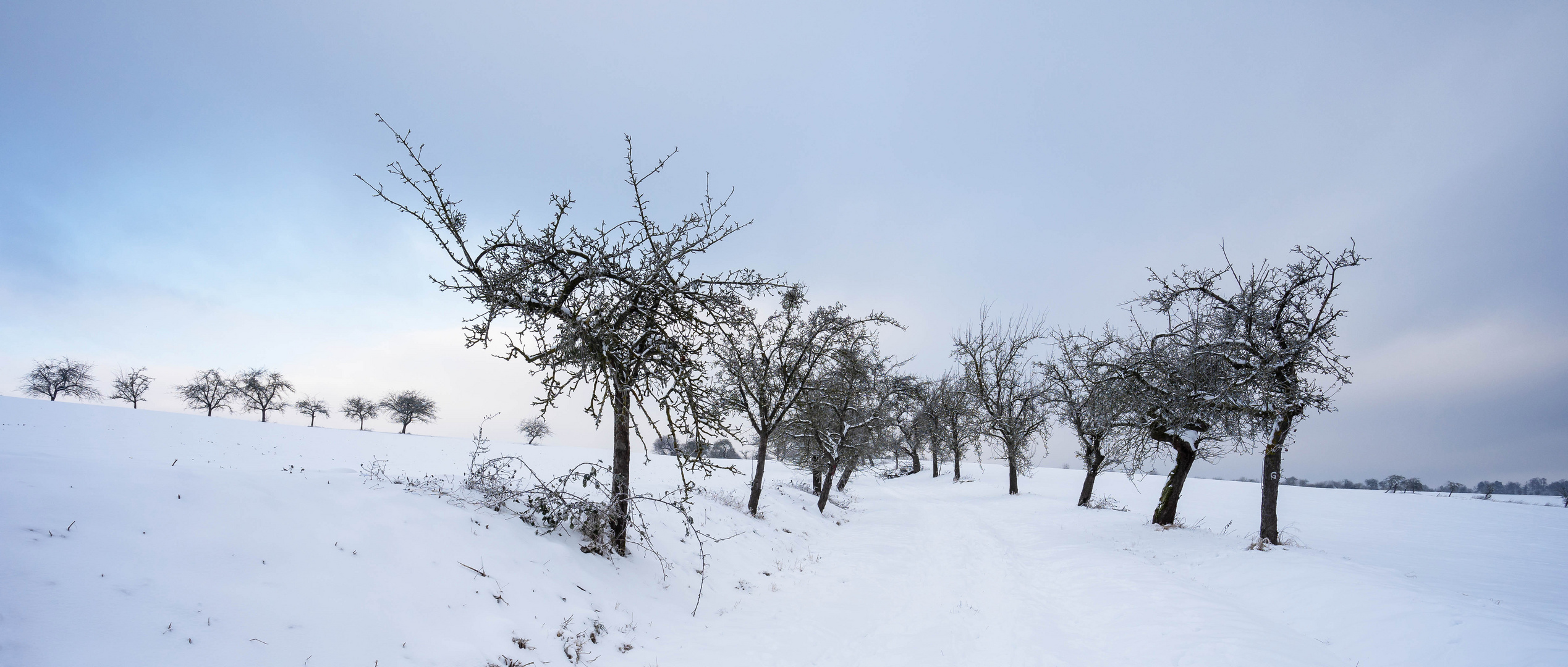 Winter in Nordhessen