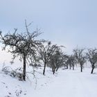 Winter in Nordhessen