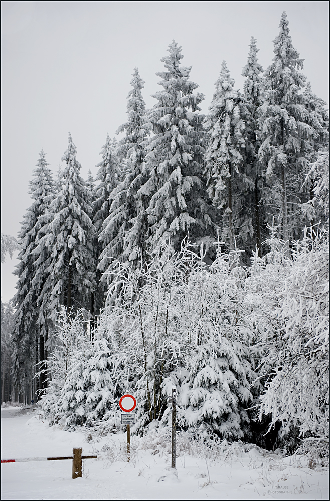 Winter in Nordhessen II