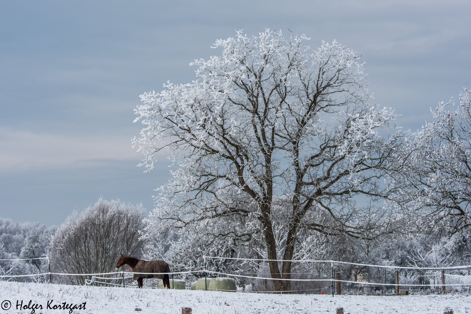 Winter in Nordwest Mecklenburg