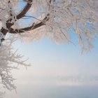 Winter in North China 01