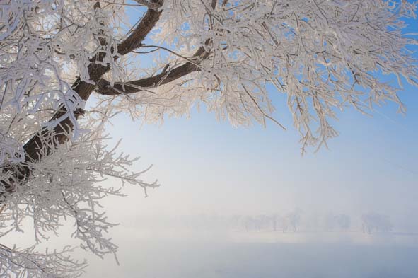 Winter in North China 01