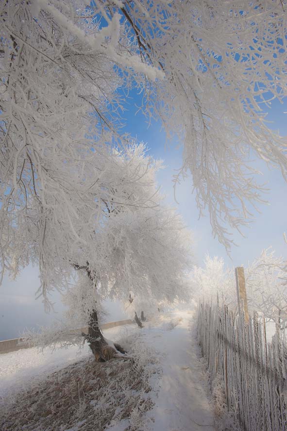 Winter in North China 02