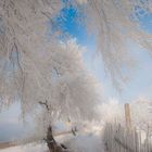 Winter in North China 02