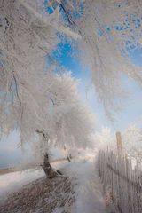 Winter in North China 02