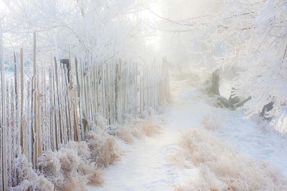 Winter in North China 03