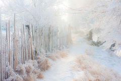 Winter in North China 03