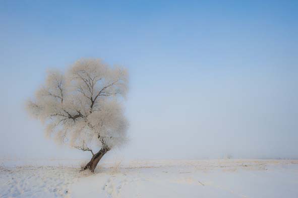 Winter in North China 05