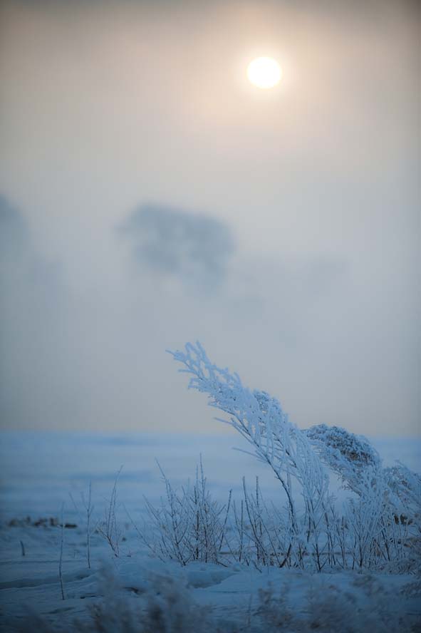 Winter in North China 07